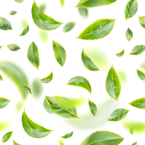Repülő friss zöld tea levelek Vector háttér - Vektor, kép