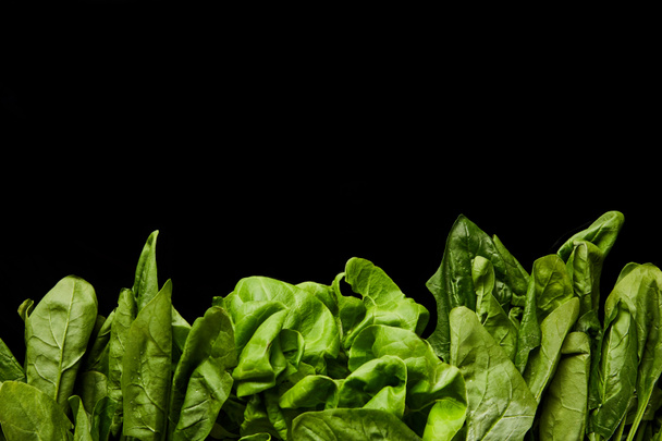top view of fresh organic green spinach leaves isolated on black - Photo, Image