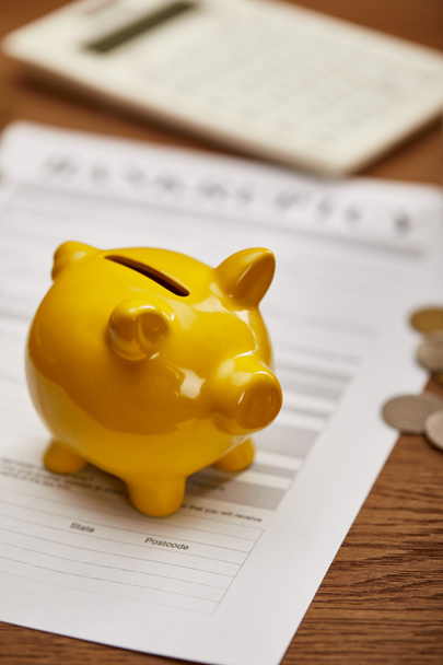selective focus of yellow piggy bank on bankruptcy form - Foto, Imagem
