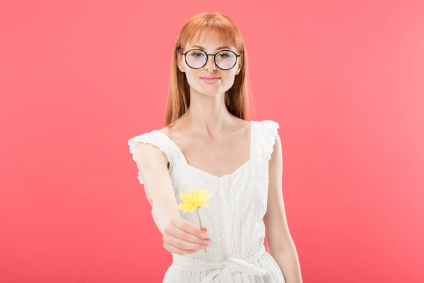 front view of beautiful redhead young woman in white dress holding yellow flower and looking at camera isolated on pink - Fotografie, Obrázek