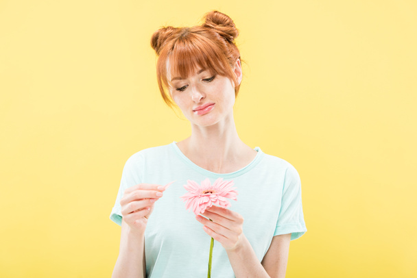front view of pensive redhead young woman in t-shirt holding flower and tearing off petals isolated on yellow - Foto, Bild
