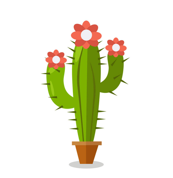 Illustrazione vettoriale delle piante di cactus
 - Vettoriali, immagini
