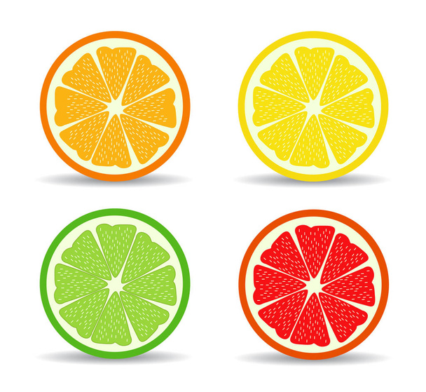 vector citrus slices - Vektor, Bild