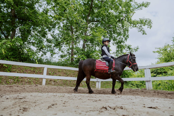 Speelse kleine jockey jongen paardrijden schattige pony op zonnige dag op de ranch. - Foto, afbeelding