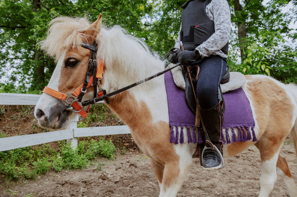 Καυκάσιος κορίτσι με κράνος και προστατευτικό γιλέκο για ιππασία χαριτωμένο λευκό και καφέ άλογο πόνυ. Ηλιόλουστη μέρα στο ράντσο έννοια. - Φωτογραφία, εικόνα