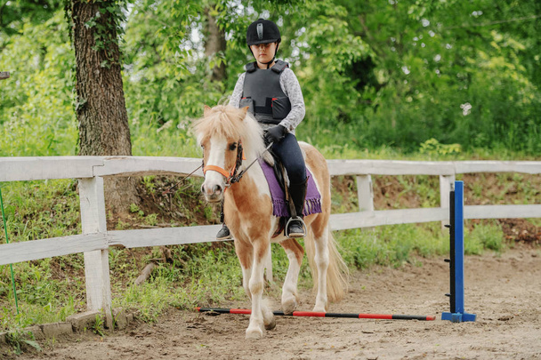 Jong speels blank meisje met helm en beschermende vest op rijden schattige pony paard op de ranch. Pony overslaan obstakel. - Foto, afbeelding