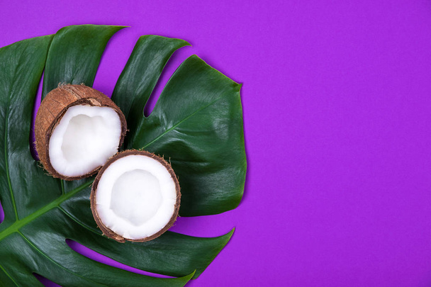 Top view of halved ripe coconut on monstera tropical plant leaf on violet purple background. Copy space. - Foto, immagini