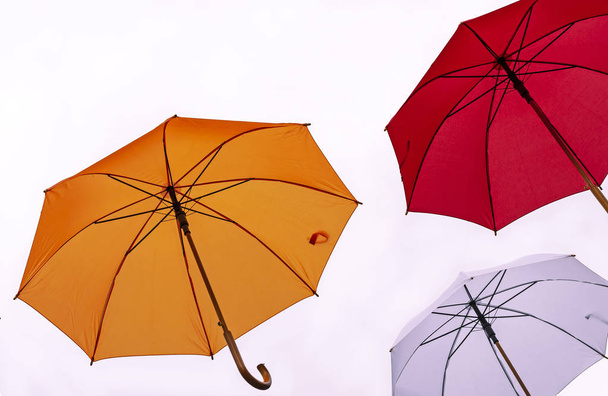 Τρεις πολύχρωμες ομπρέλες σε λευκό φόντο. - Φωτογραφία, εικόνα