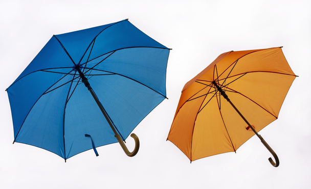 Dos coloridos paraguas sobre un fondo blanco
. - Foto, Imagen
