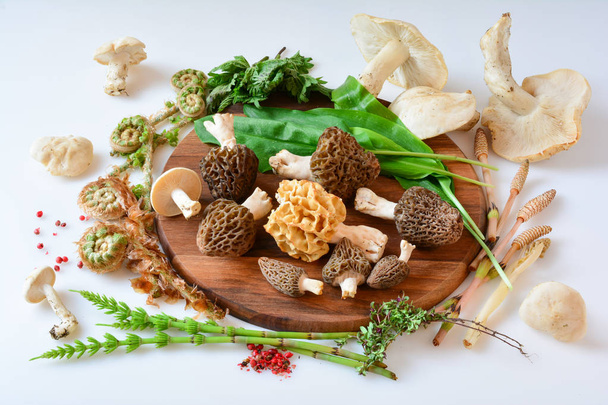 Весенняя дикая пища, грибы и растения, вид сбоку
 - Фото, изображение