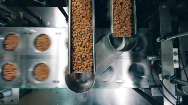 Bread snacks are being poured into plastic boxes mechanically - Felvétel, videó
