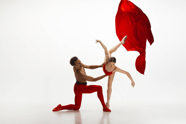 Young graceful couple of ballet dancers dancing on white studio background - Фото, изображение