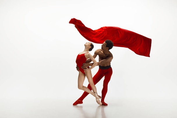 Jeune couple gracieux de danseurs de ballet dansant sur fond de studio blanc
 - Photo, image