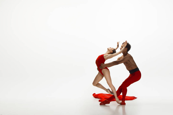 Young graceful couple of ballet dancers dancing on white studio background - Foto, Imagen