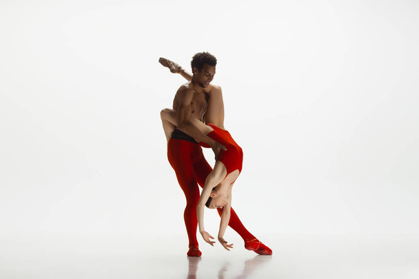 Young graceful couple of ballet dancers dancing on white studio background - Foto, afbeelding