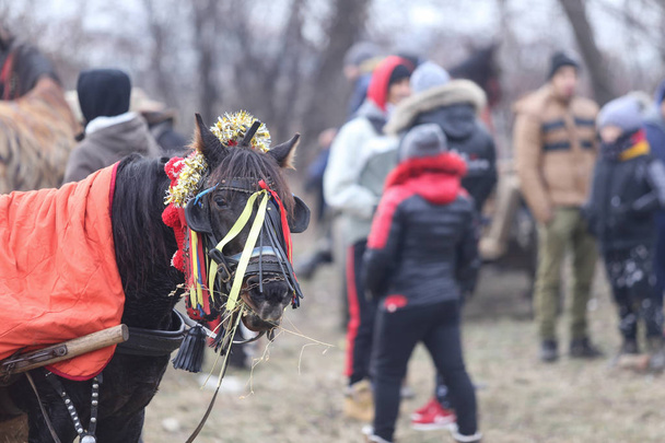 Detalles con un caballo adornado en la Rumania rural
 - Foto, imagen