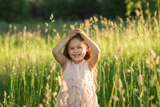 little girl with long hair in a beautiful dress on the nature in summer - Photo, Image