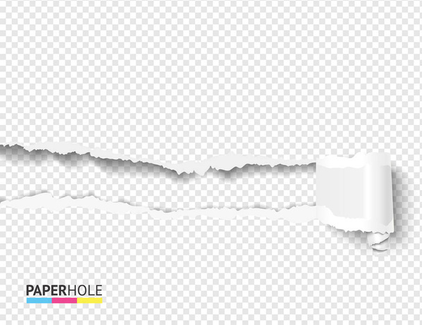 Blank banner with scrolled torn piece with paper hole on transparent as revealing message vector concept - Vector, Image