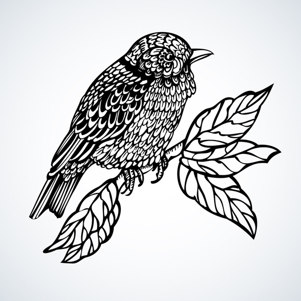 Graphic ornamental bird - Vettoriali, immagini