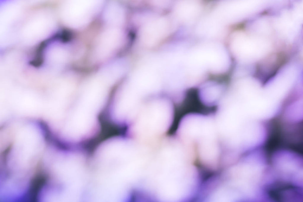 Abstract blurred natural background, purple tone. - Photo, Image