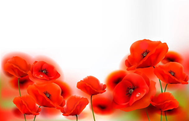 赤いポピーの花の背景。ベクトルイラスト - ベクター画像