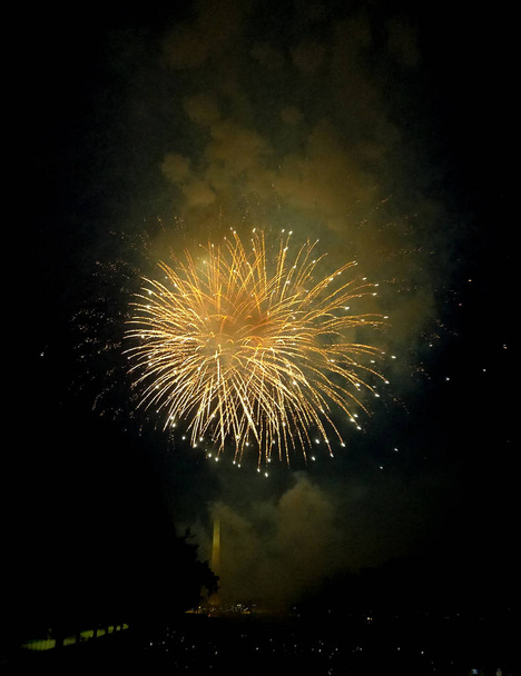 Fuochi d'artificio del giorno dell'indipendenza a Washington, DC
 - Foto, immagini