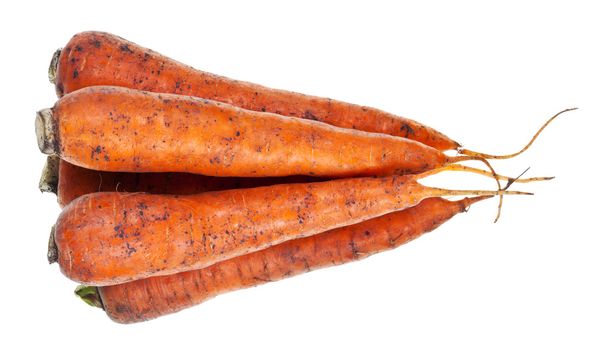 купа свіжої апельсинової моркви
 - Фото, зображення