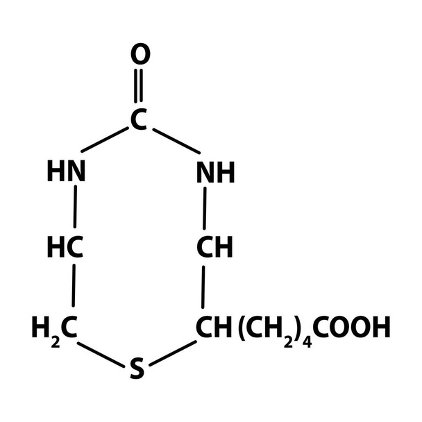 B7-vitamin Biotin molekuláris kémiai formula. Infographics. Vektoros illusztráció elkülönített háttéren. - Vektor, kép