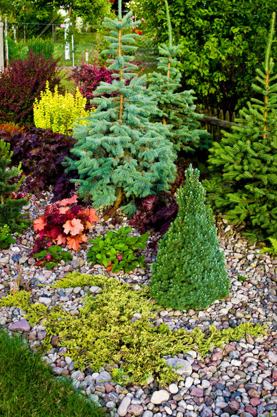 Colorful ornamental garden with vibrant foliage plants and trees - Photo, Image