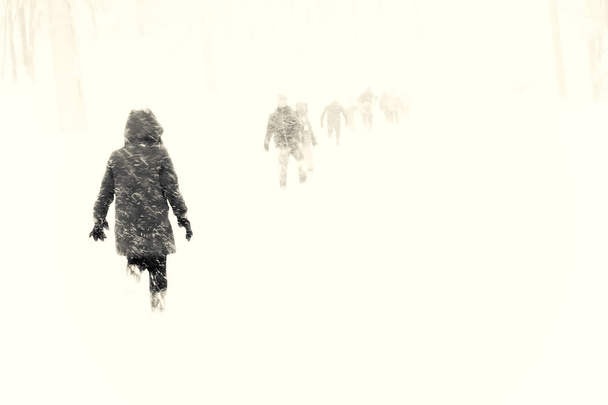 tourist walking on the snow falling day , Gala Yuzawa.Japan - Zdjęcie, obraz