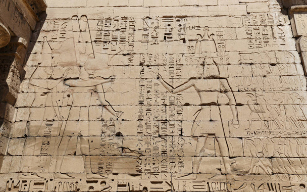 Jeroglíficos egipcios en Medinet Habu Temple, Luxor, Egipto
 - Foto, imagen