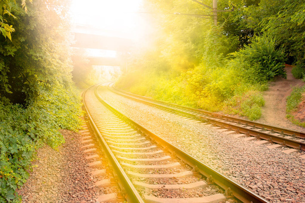 Demiryollarında trenle seyahat kavramı. Raylar raylar içeri gidiyor - Fotoğraf, Görsel