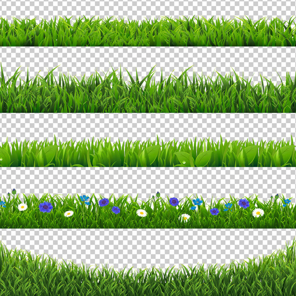 Зелена трава колекції кордону ізольовані прозорий фон
 - Вектор, зображення