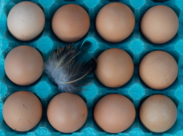 Koruyucu mavi kutuda taze kahverengi tavuk yumurtası, yumurtanın üstünde tavuk tüyü. Yerel organik ürünler. - Fotoğraf, Görsel