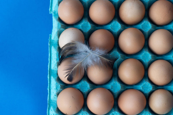 Tuoreita kananmunia suojaavassa sinisessä laatikossa, kanansulka munan päällä. Paikalliset luonnonmukaiset tuotteet
. - Valokuva, kuva