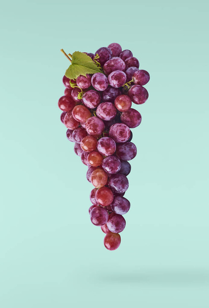Свежий спелый виноград
 - Фото, изображение