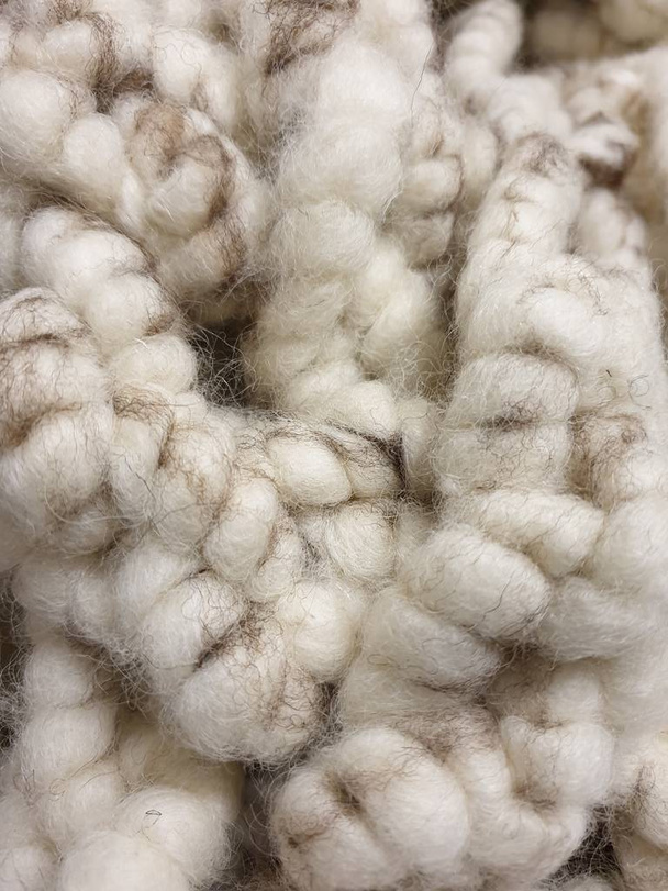 Tapis laine de mouton beige
 - Photo, image