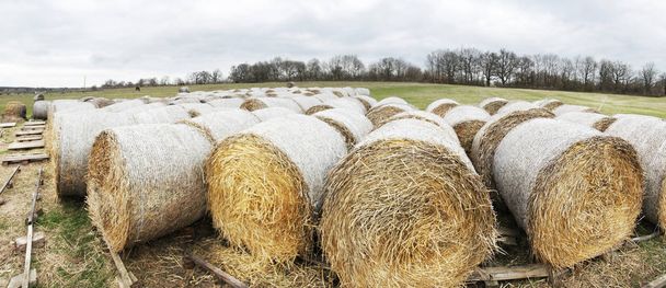 closeup view of hay bales panorama - Photo, Image
