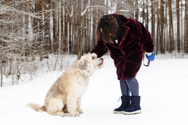 junge Frau mit ihrem Hund im Winter spazieren gehen. Südrussischer Schäferhund. - Foto, Bild
