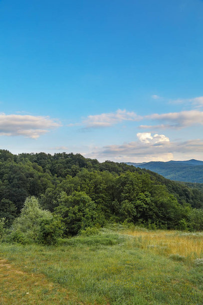 Beautiful adventurous background with trees and montains on the side - Fotografie, Obrázek