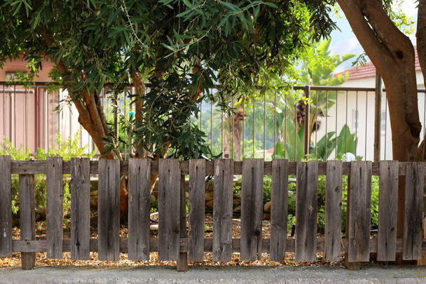 plot v městském parku na březích Středozemního moře v severním Izraeli  - Fotografie, Obrázek