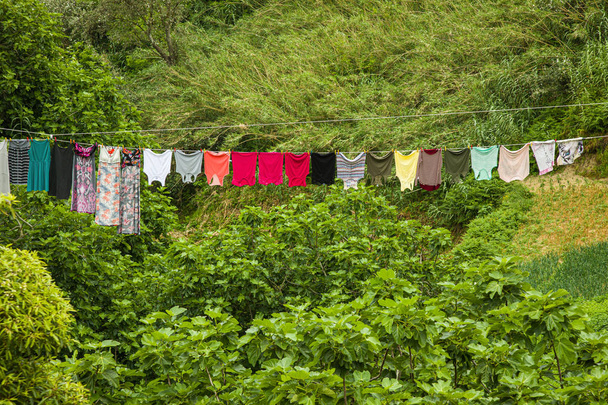 Roupa de secagem, Maia cidade na ilha de São Miguel, Açores archipela
 - Foto, Imagem