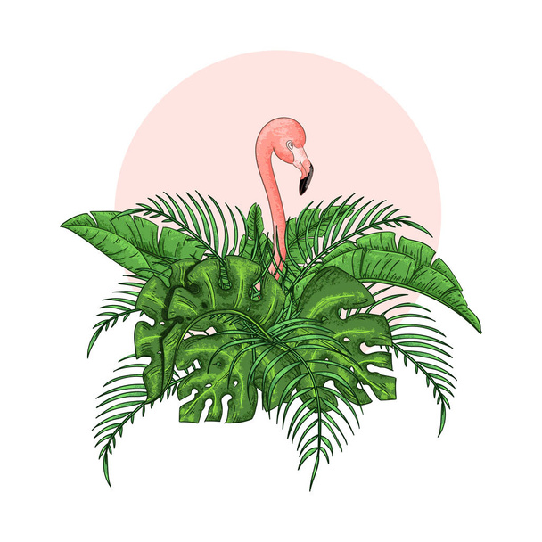 Pembe flamingo, tropikal yaprakları ile güzel çiçek egzotik vektör illüstrasyon. - Vektör, Görsel