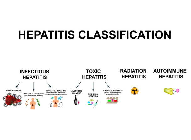 Types of viral hepatitis. Classification of Hepatitis A, B, C, D, E, F, G. Toxic, infectious, autoimmune, radiation hepatitis. World Hepatitis Day. Infographics. Vector illustration - Vector, Image