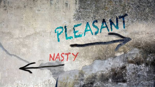 Wall Graffiti Pleasant versus Nasty - Photo, Image