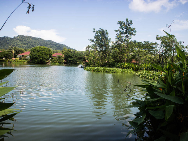 Σαββατοκύριακο για ψάρεμα στο ξενοδοχείο Γκιλλιάs, Κράμπι, Κράμπι, Ταϊλάνδη, 2019 Μαΐου. Βουδιστικός ναός και ασιατικοί κήποι δίπλα σε μια χαλαρωτική λίμνη - Φωτογραφία, εικόνα