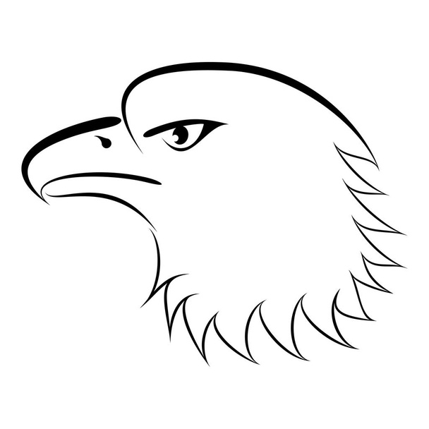 Dibujo lineal águila calva
 - Vector, Imagen