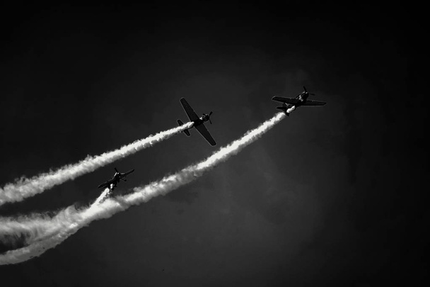 черно-белые самолеты небо трассирует авиашоу
 - Фото, изображение