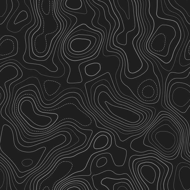 Amazing topography Actual topography map Dark seamless design gorgeous tileable isolines pattern - Vector, Image