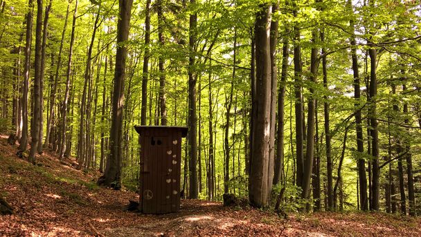 servizi igienici in legno nella foresta di montagna soleggiata
  - Foto, immagini